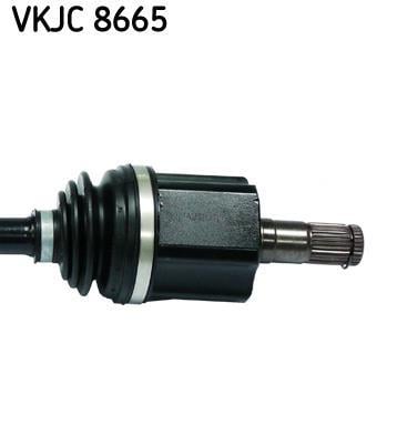 Cardan SKF ref. VKJC 8665